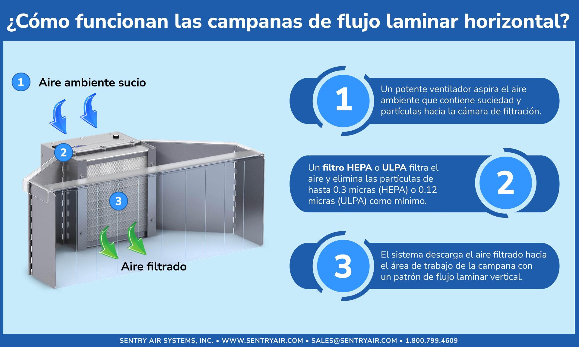 Infografía de campana de flujo laminar horizontal