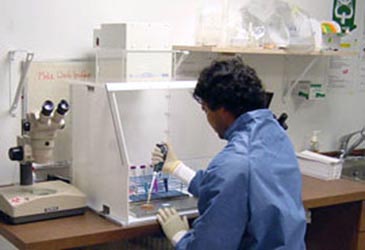 Sala blanca de recuperación de datos