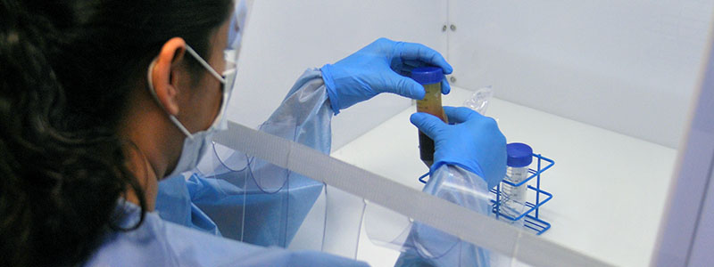 Sector médico