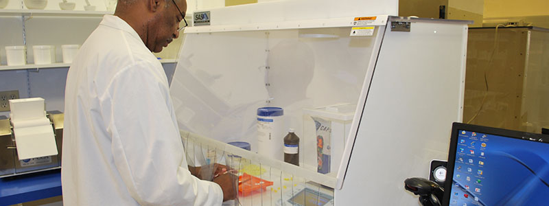 Sector farmacéutico