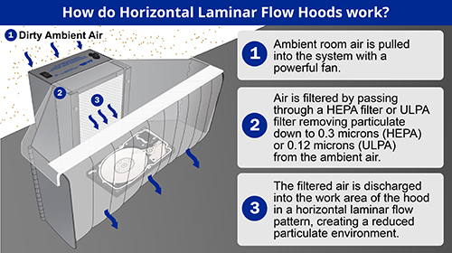 Campana de flujo laminar horizontal